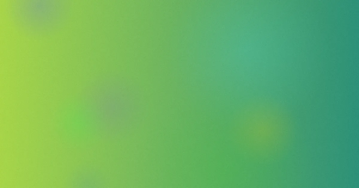 顶楼大象推荐：新手怎么选
